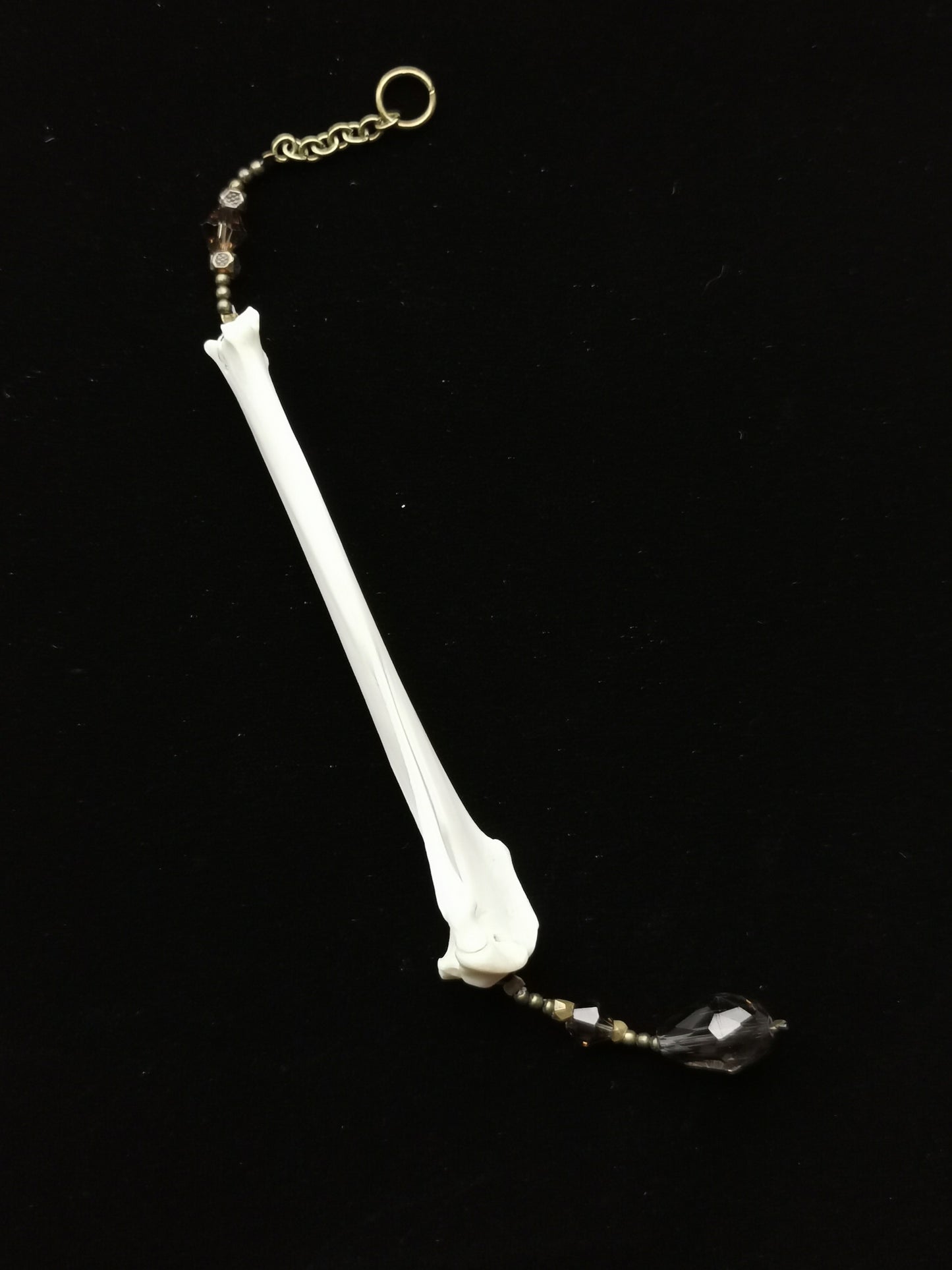 Rabbit tibia suncatcher