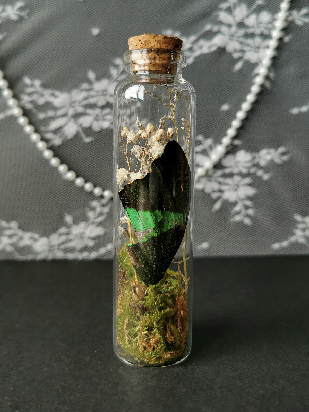 Large curiosity bottle