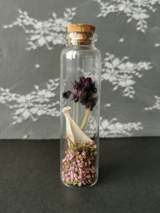 Large curiosity bottle