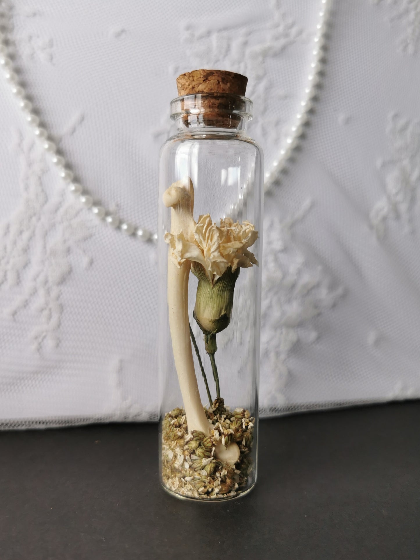 Curiosity bottle set
