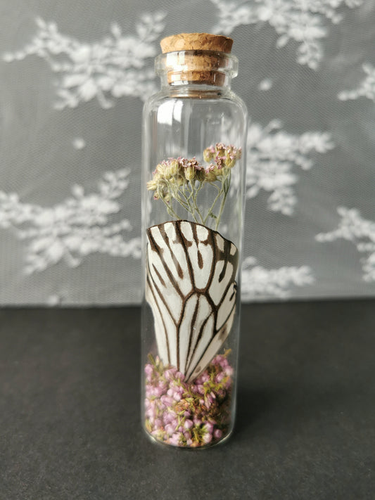 Large curiosity bottle