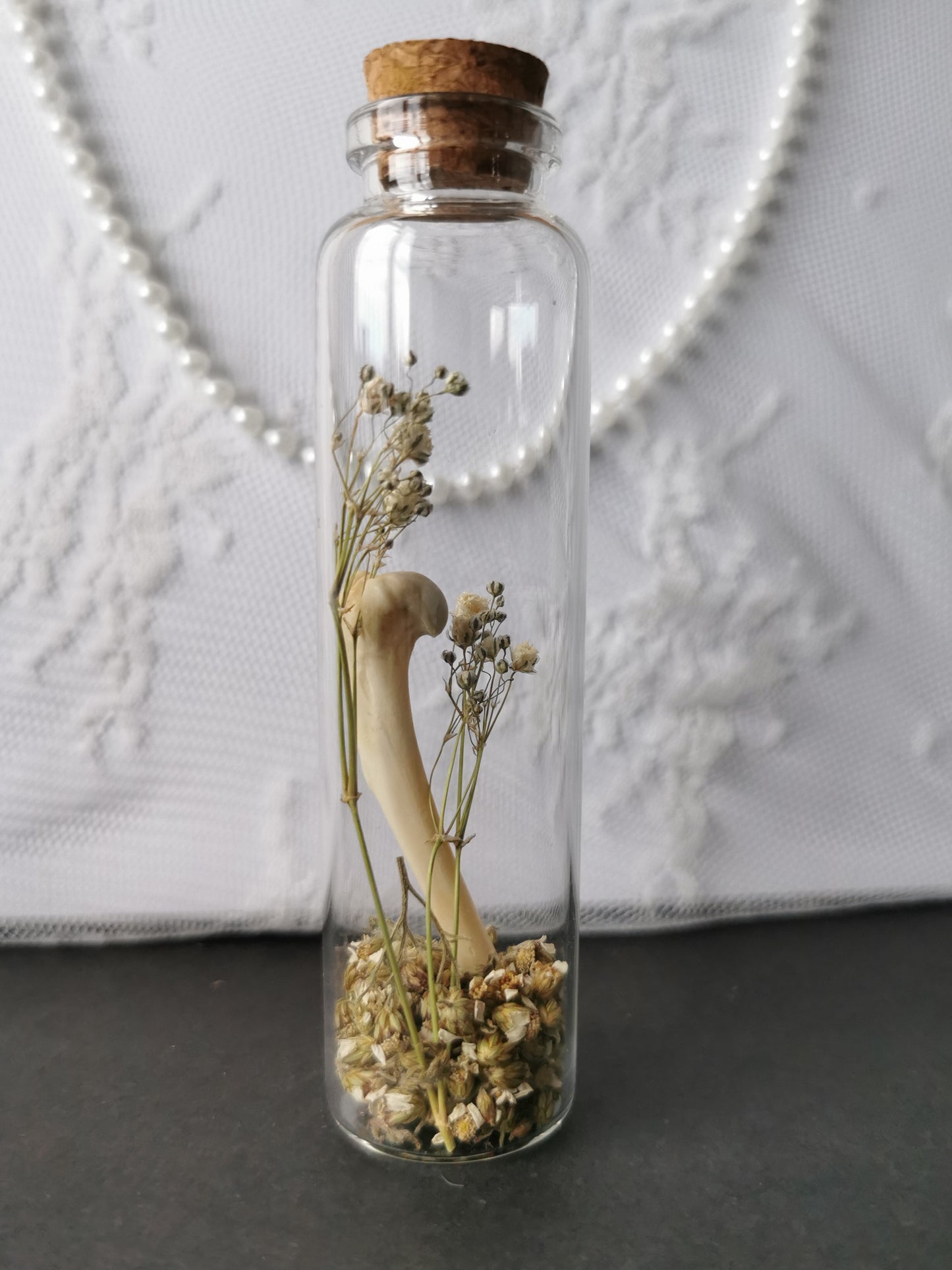 Curiosity bottle set