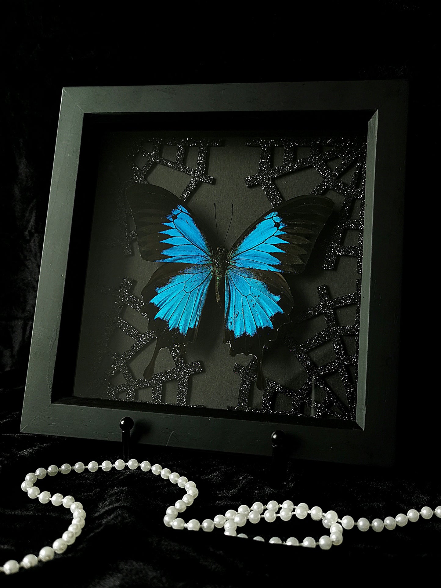 Blue Mountain Swallowtail butterfly frame with glitter web corners
