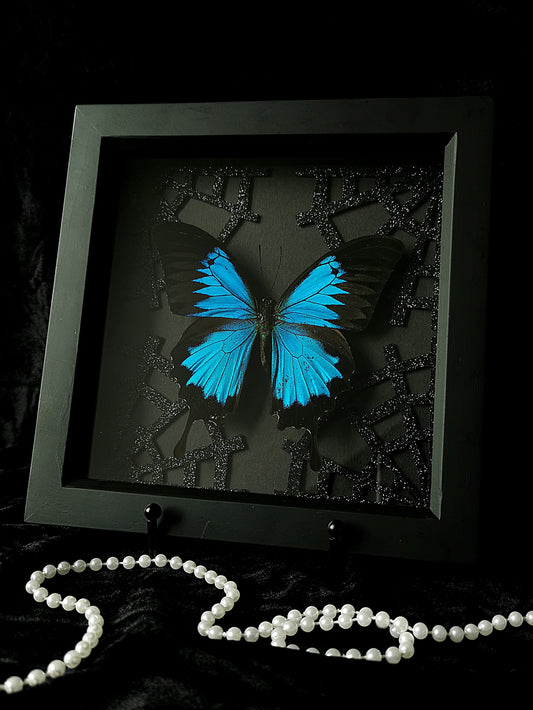 Blue Mountain Swallowtail butterfly frame with glitter web corners