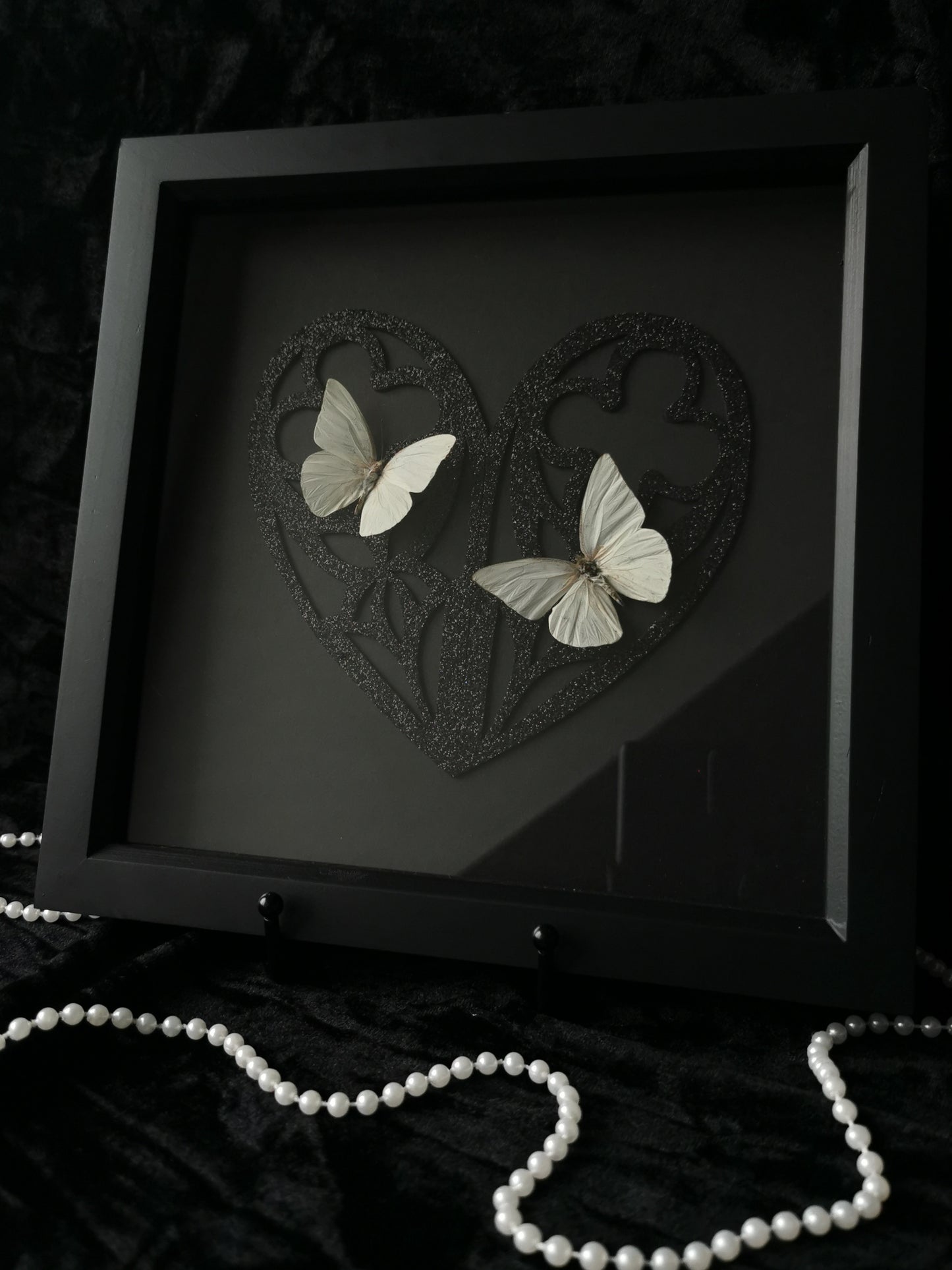 Florida White butterflies glitter entomology frame