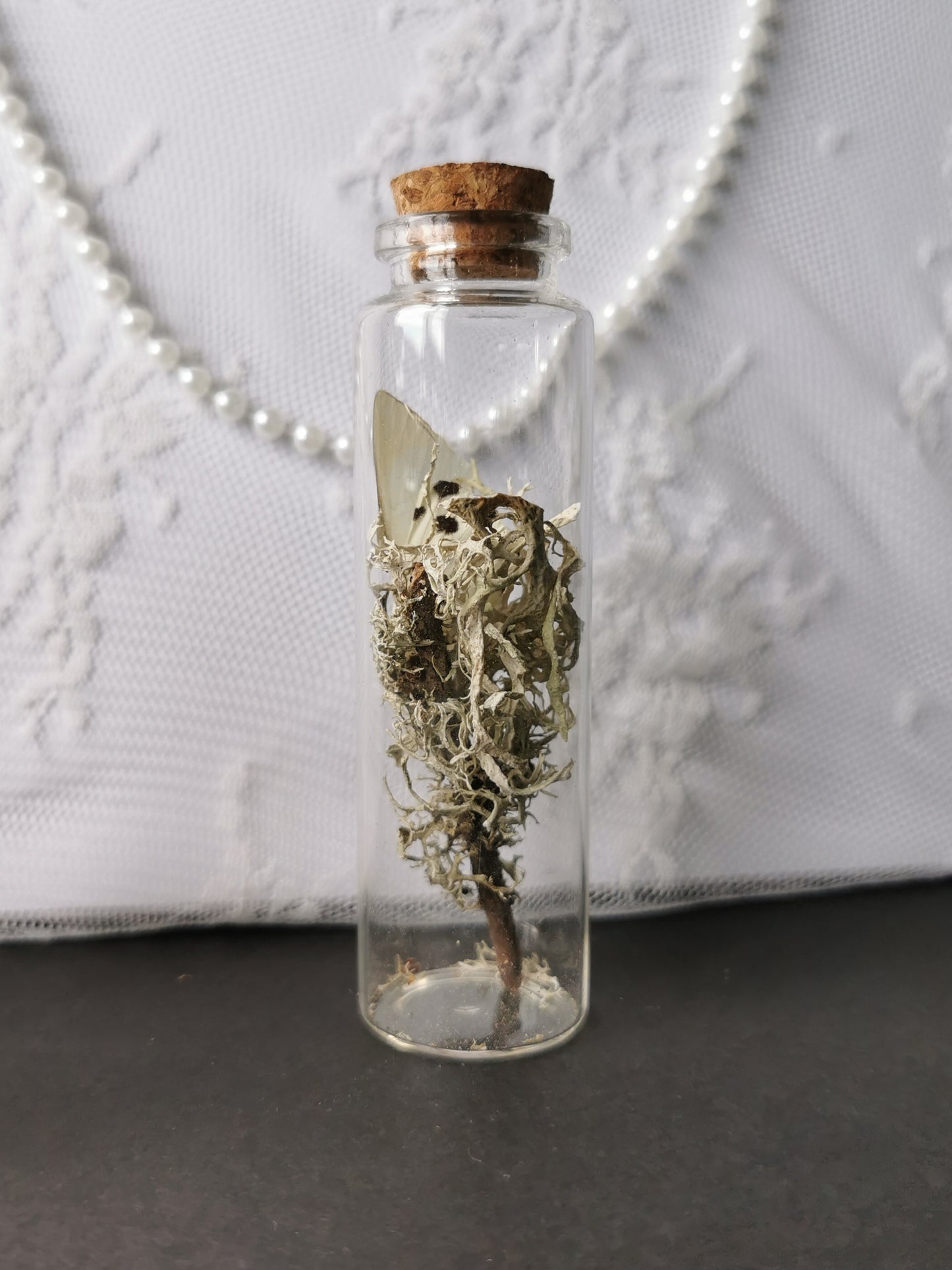 Curiosity bottle set