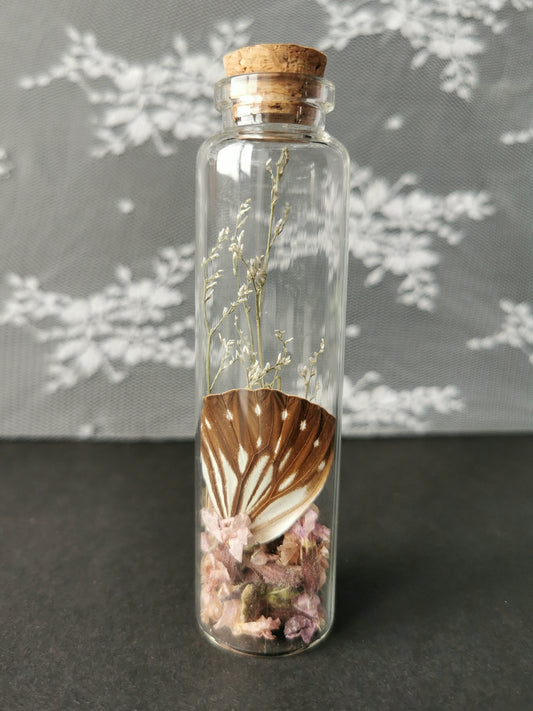 Large curiosity bottle