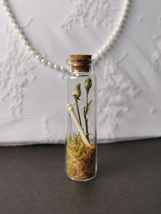 Small curiosity bottle