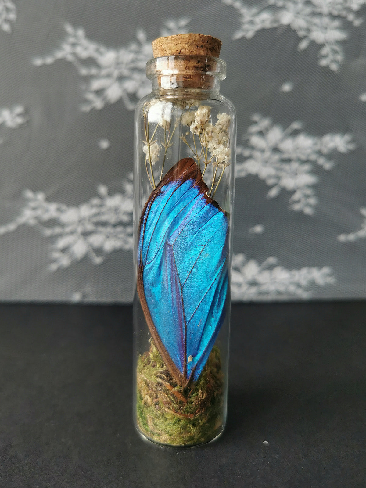 Large curiosity bottle