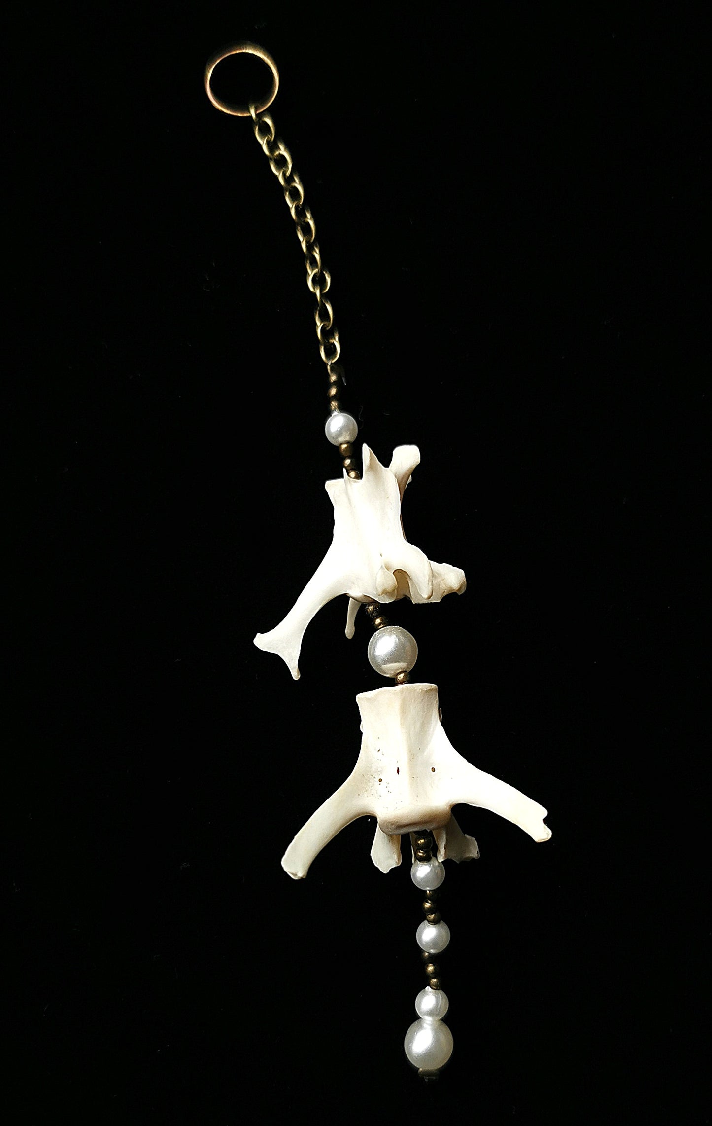 Rabbit vertebrae suncatcher