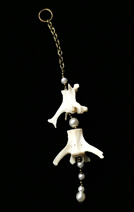 Rabbit vertebrae suncatcher