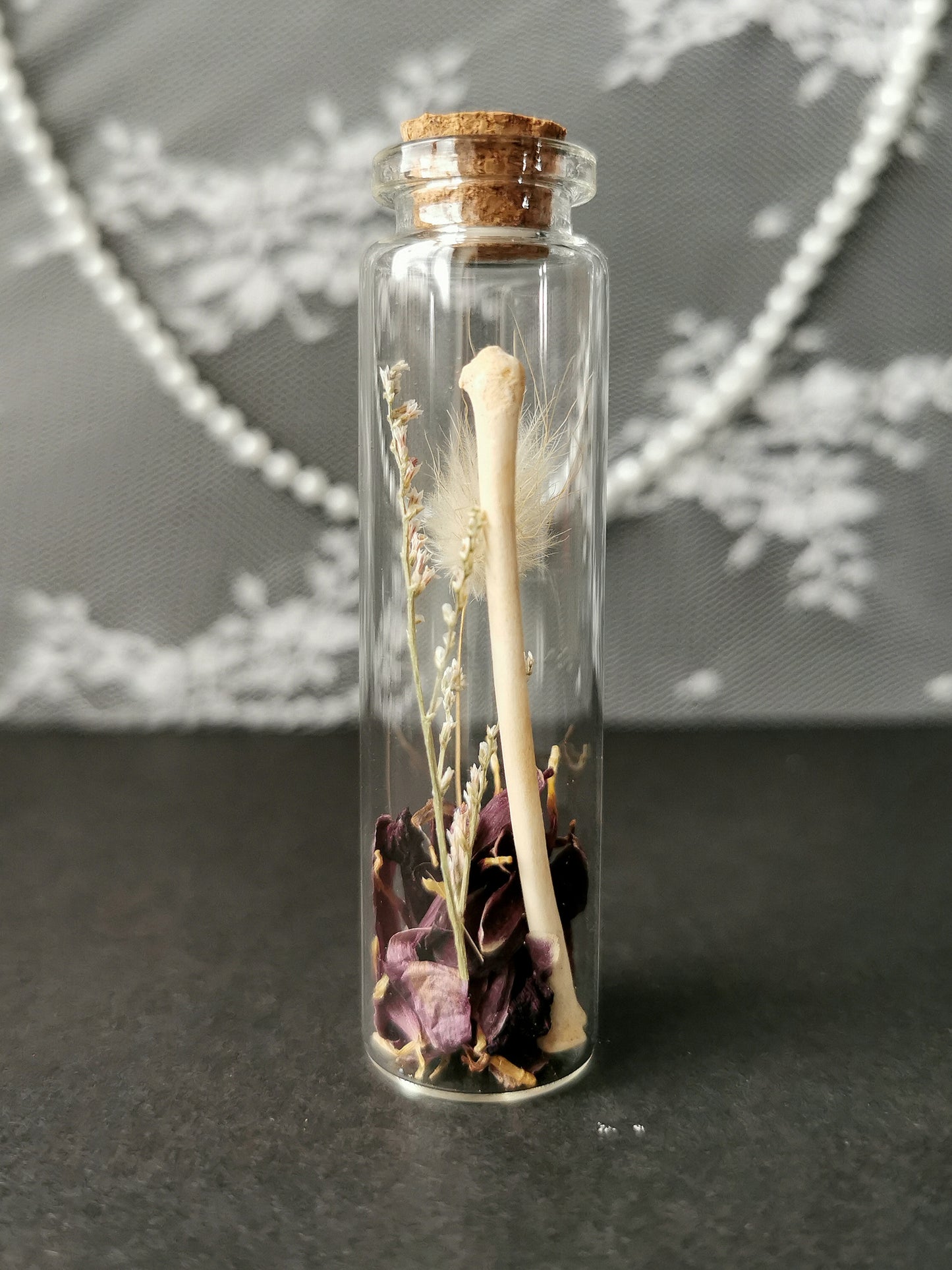 Small curiosity bottle