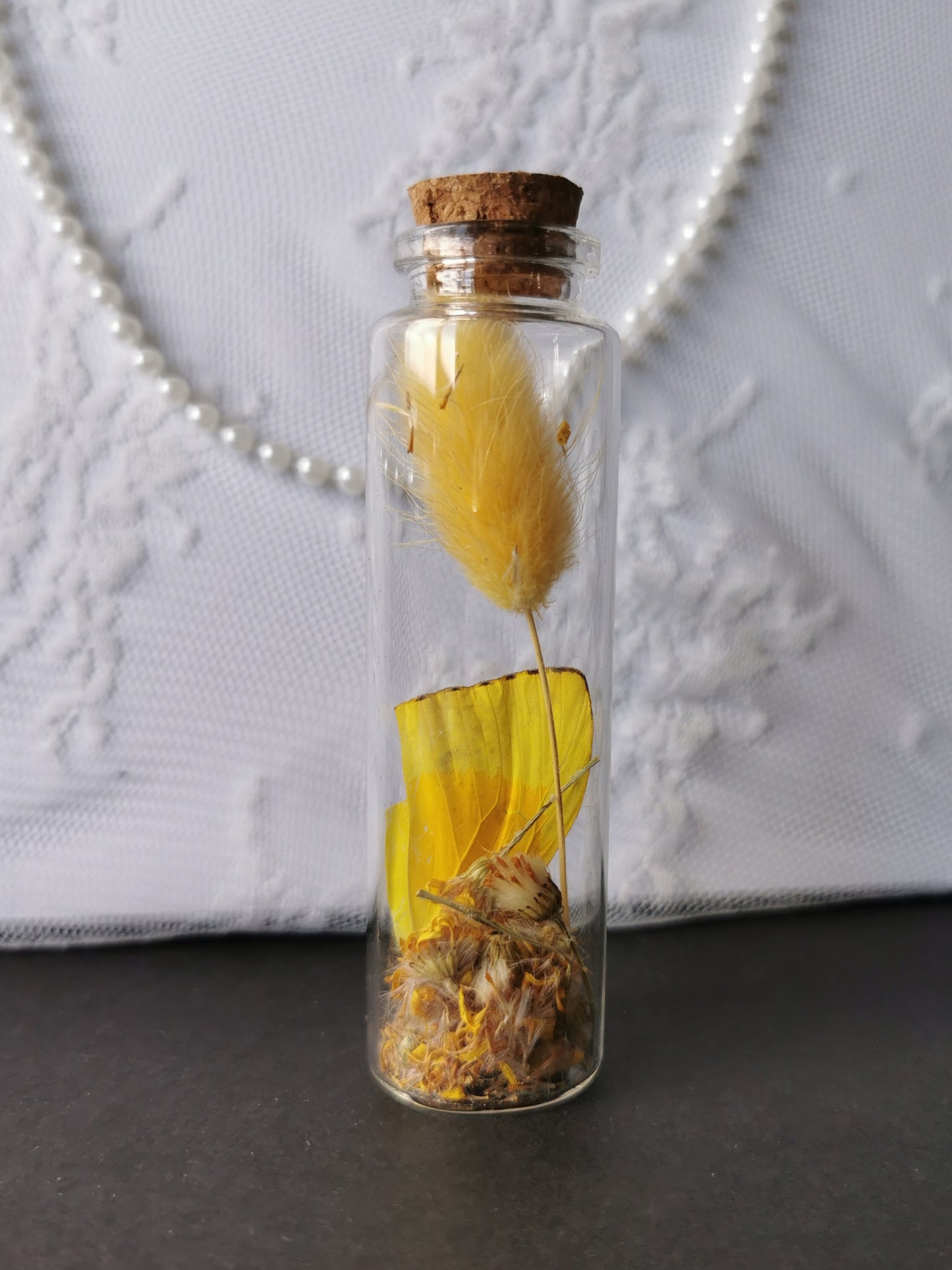 Curiosity bottle set