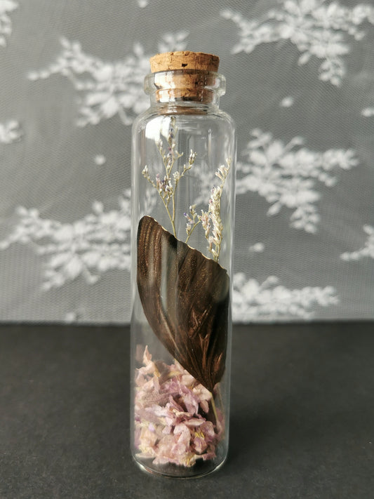 Large curiosity bottle