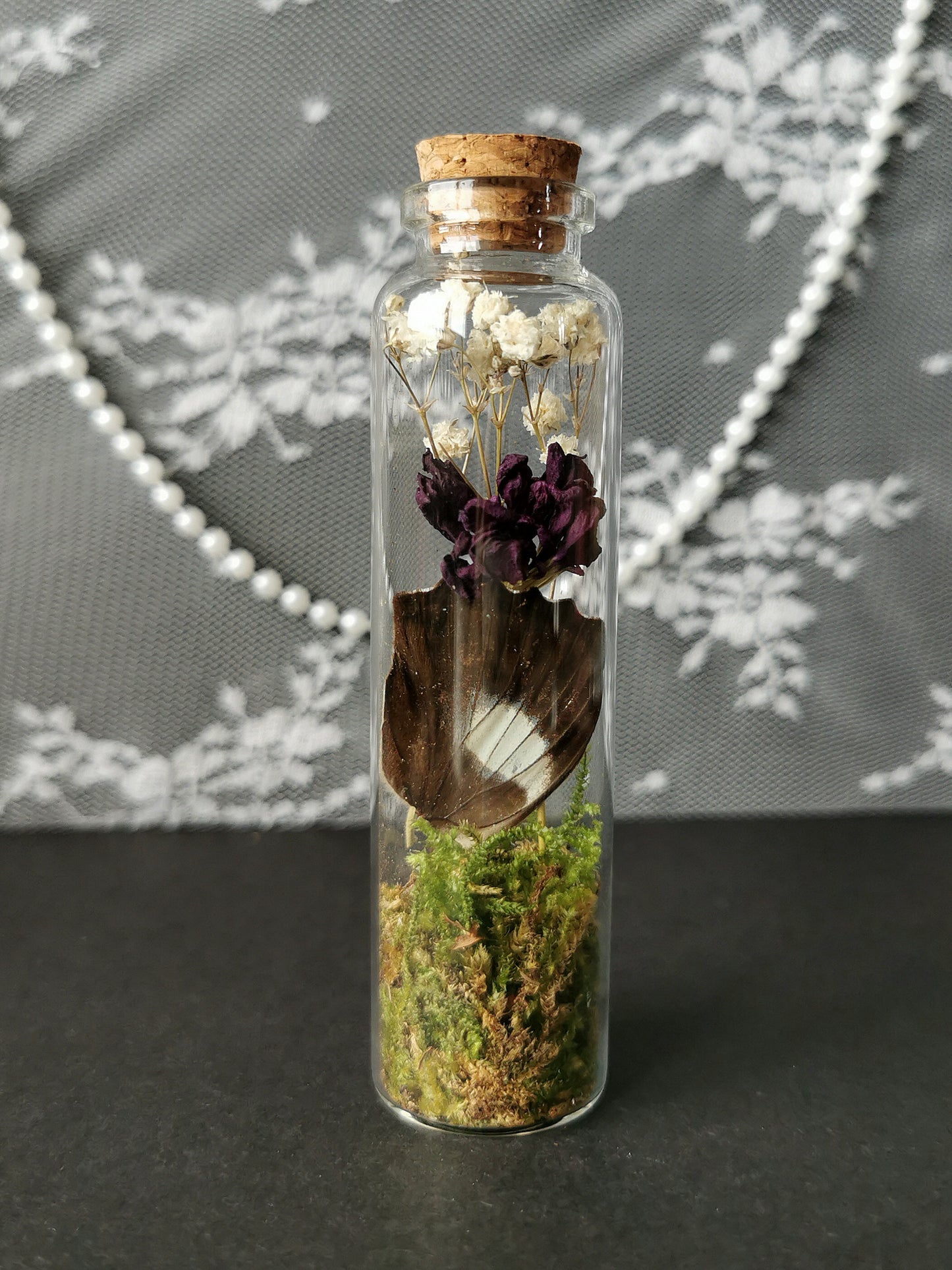 Large curiosity bottle