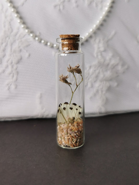 Small curiosity bottle