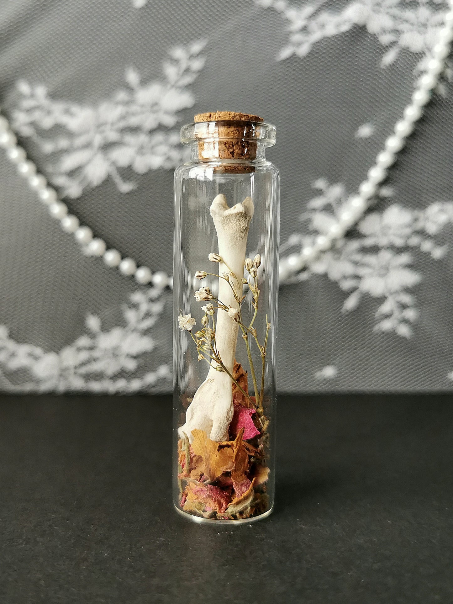 Small curiosity bottle
