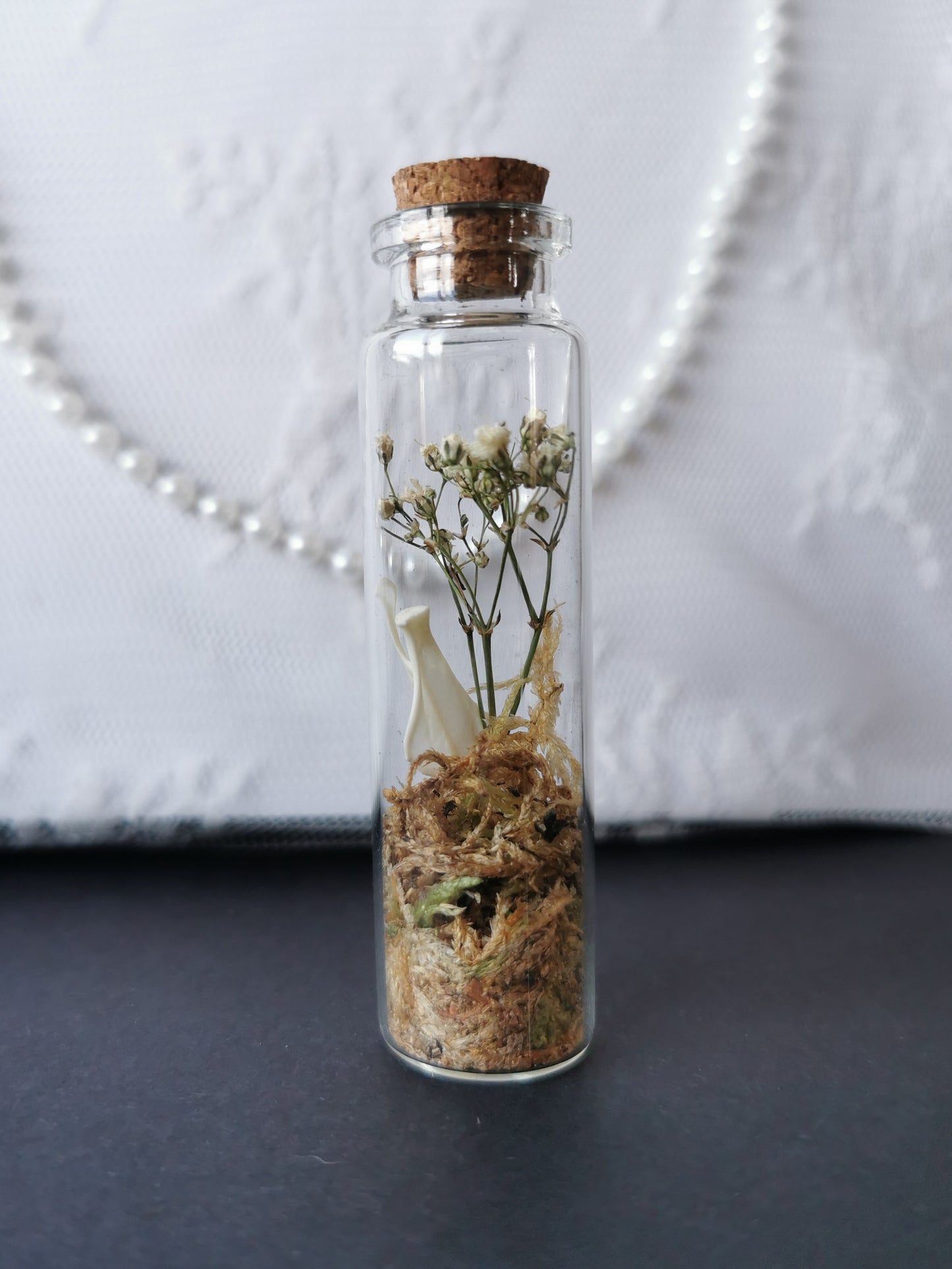 Small curiosity bottle