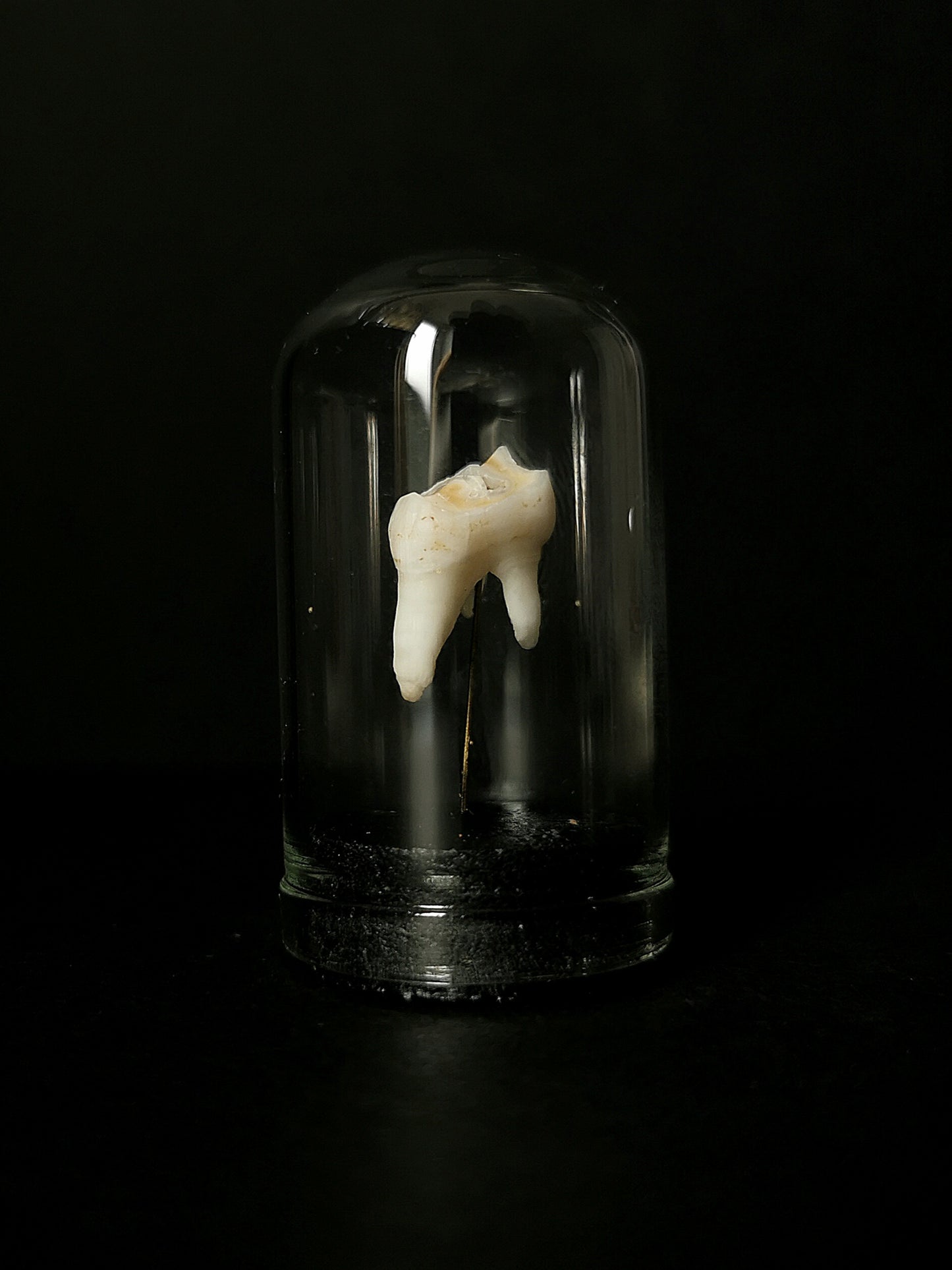Small tooth dome