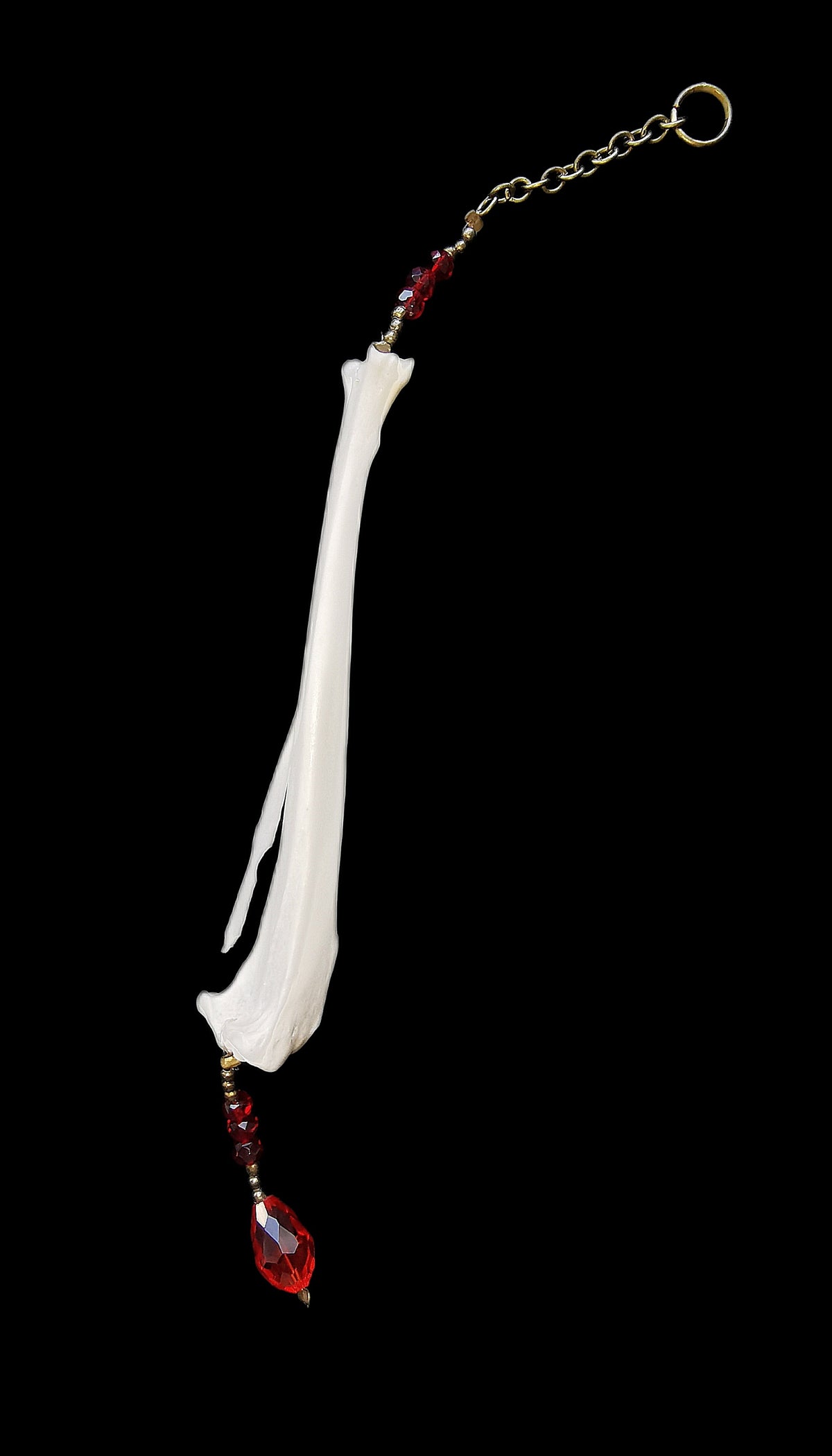 Rabbit tibia suncatcher