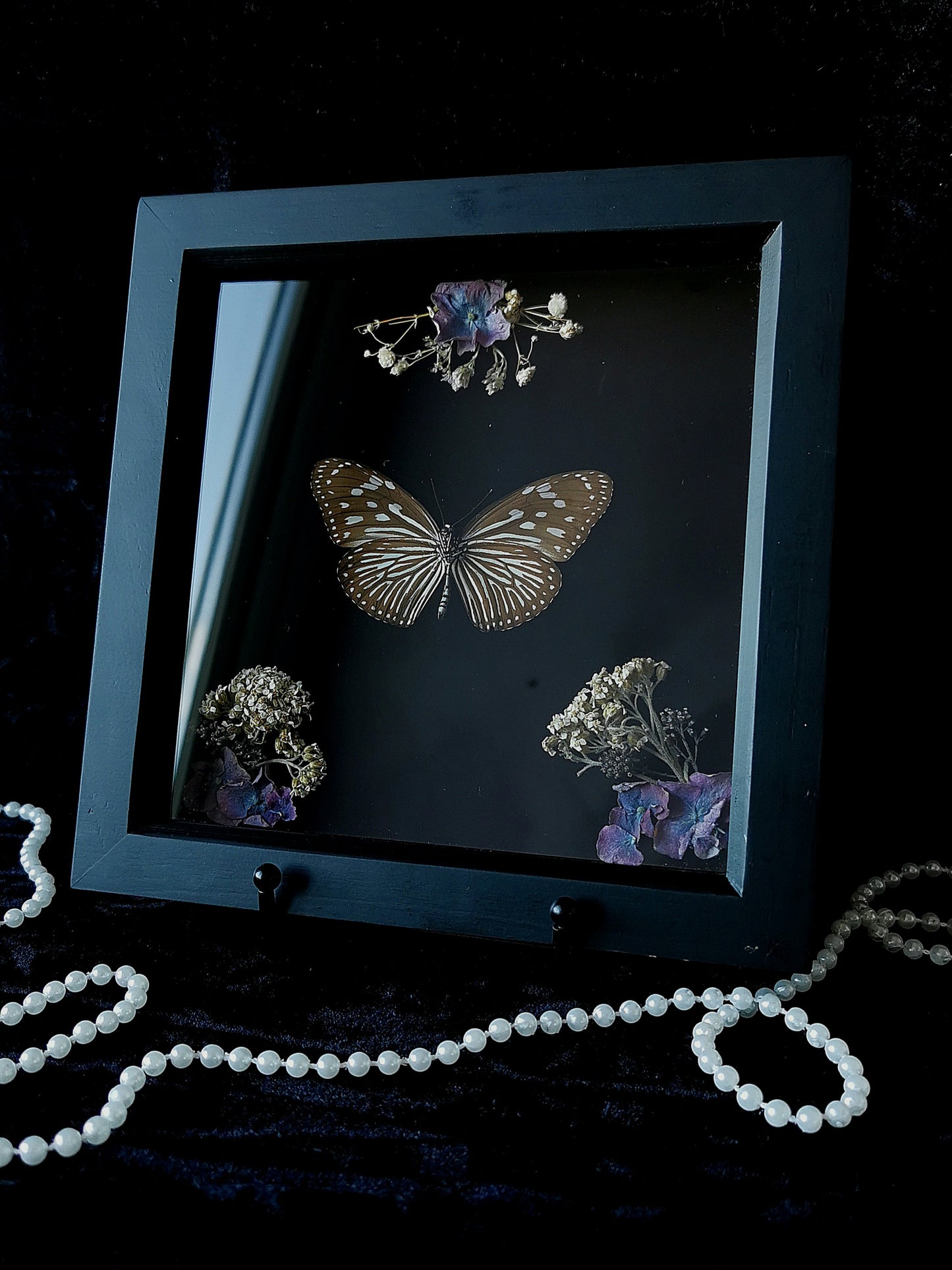 Glassy Tiger butterfly frame with dried flowers