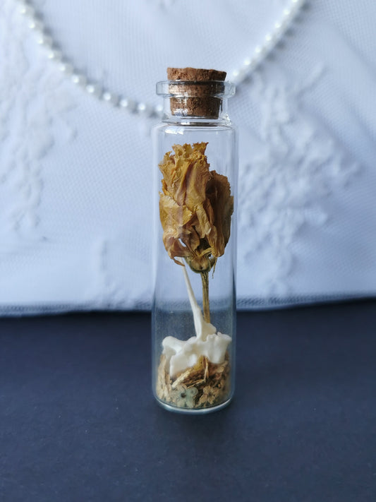 Small curiosity bottle