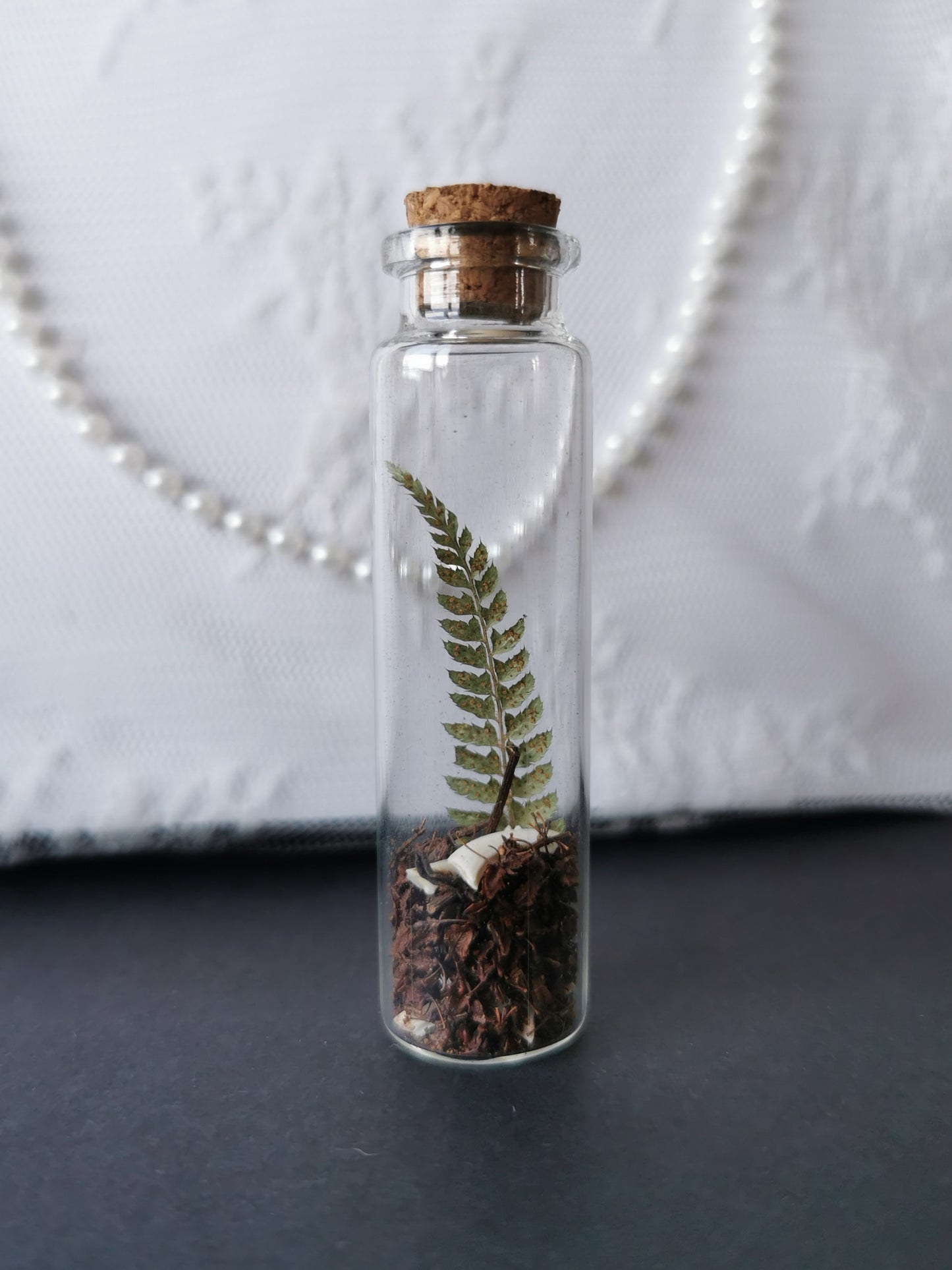 Small curiosity bottle