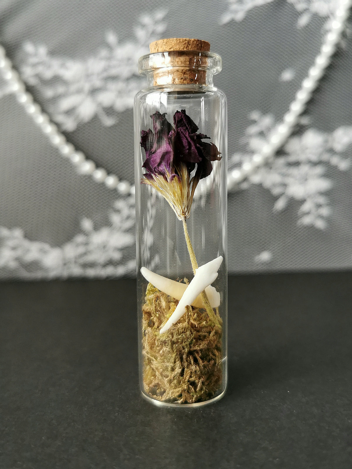 Small curiosity bottle