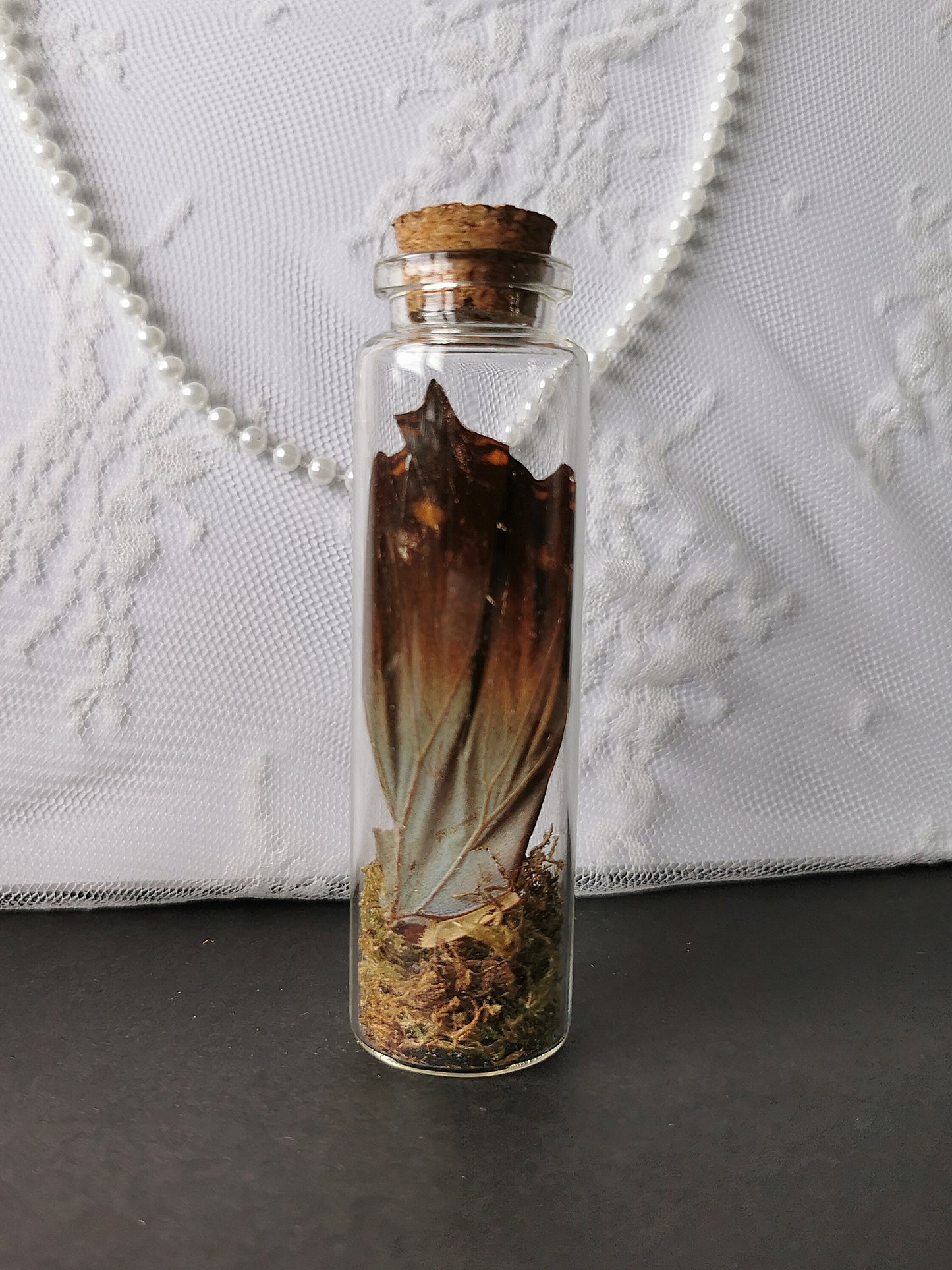 Curiosity bottle set
