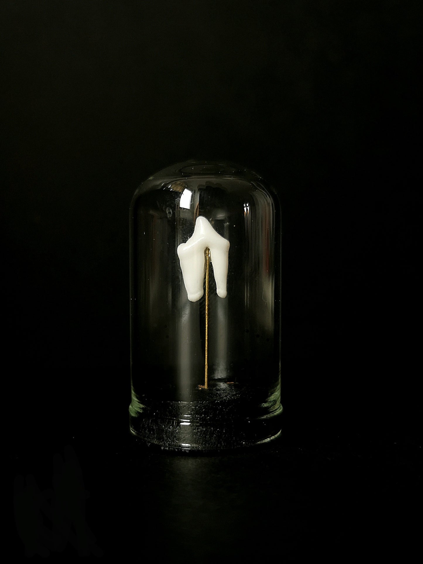 Small tooth dome