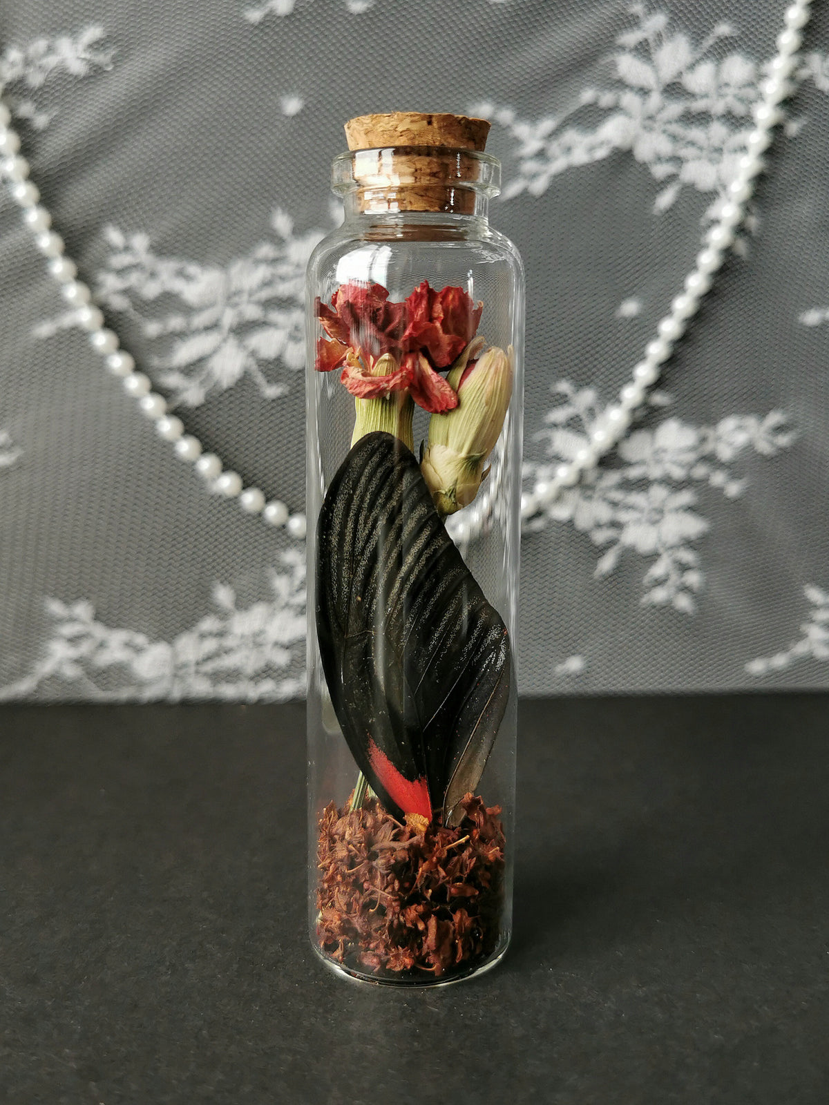 Large curiosity bottle