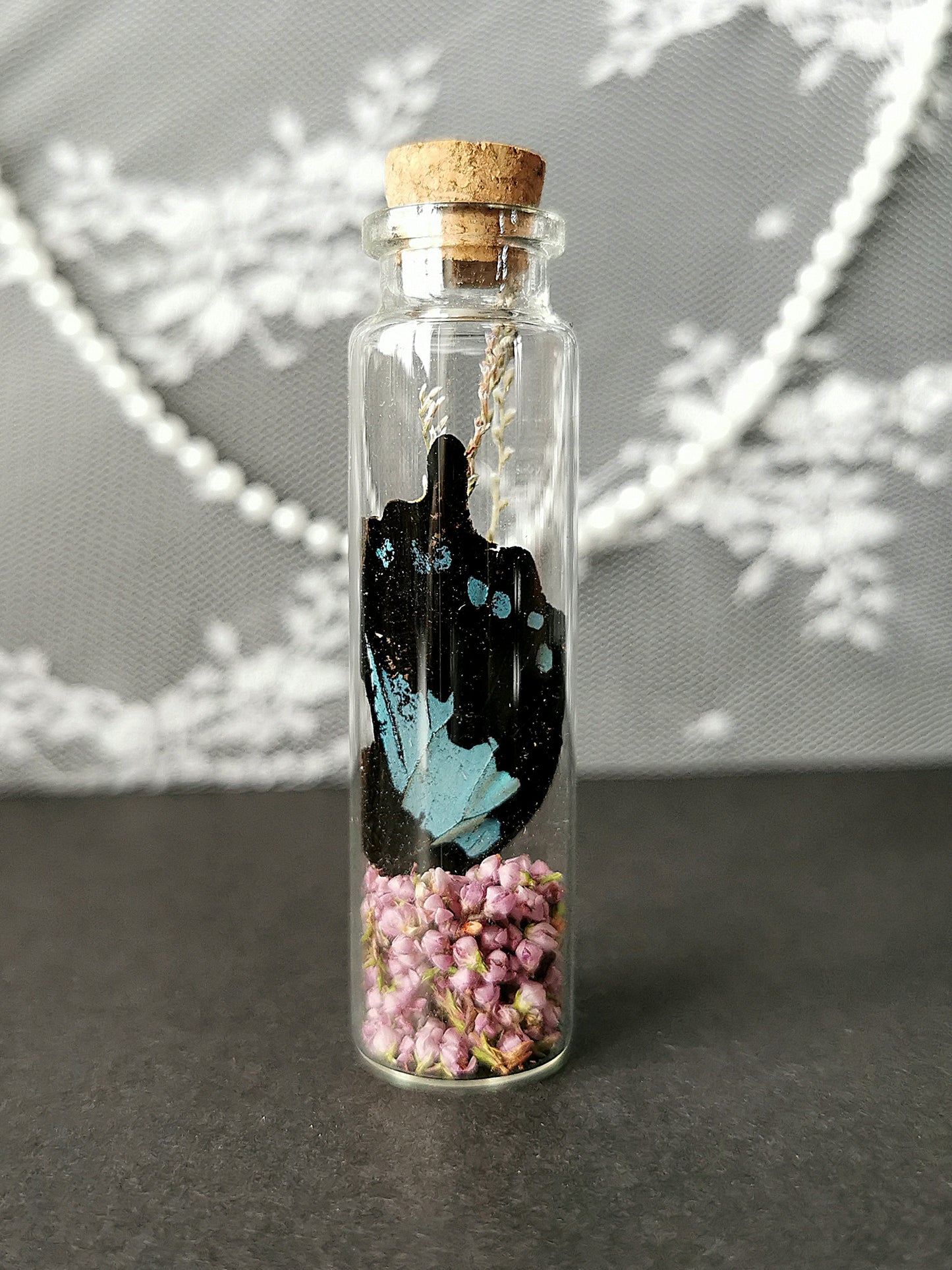 Small curiosity bottle