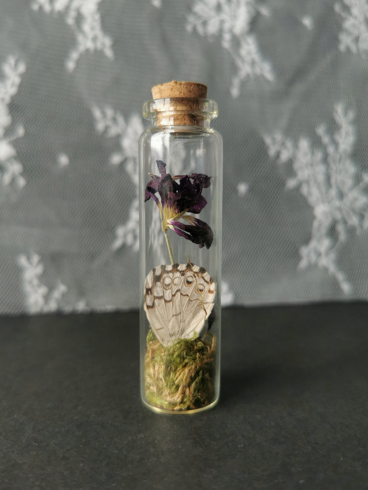 Small curiosity bottle