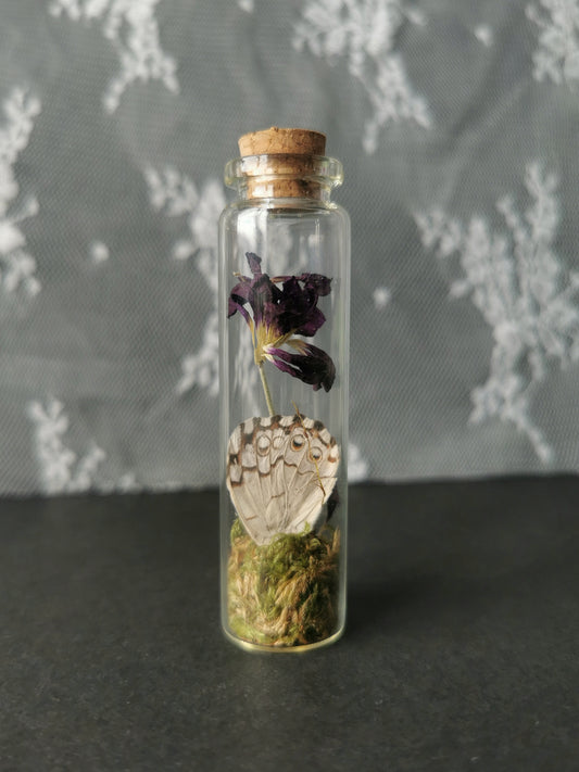 Small curiosity bottle