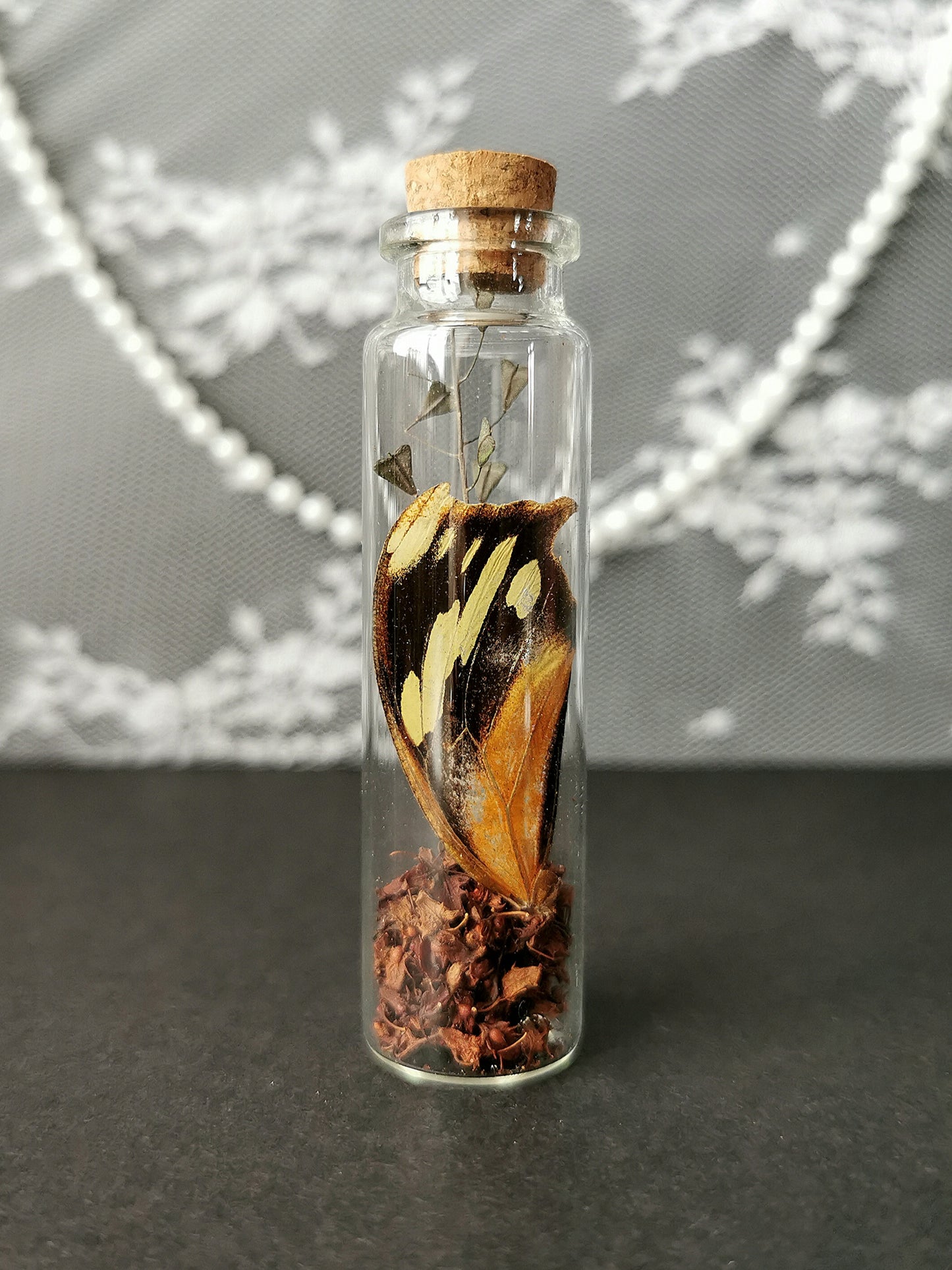 Small curiosity bottle