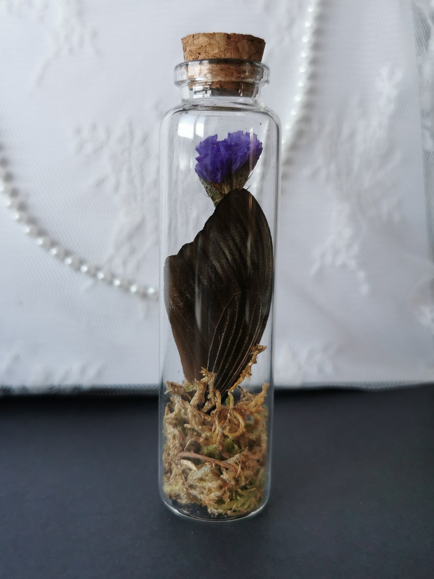 Large curiosity bottle