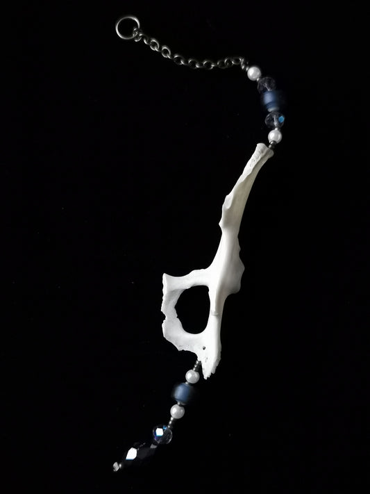 Rabbit pelvis suncatcher