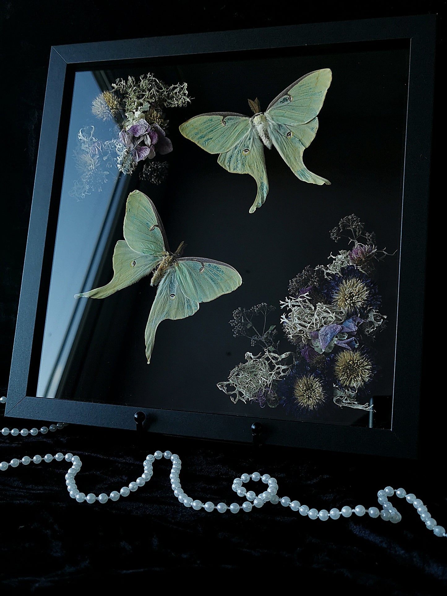 Luna Moths frame with dried flowers