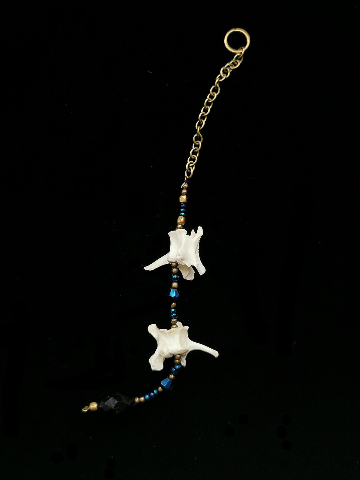 Rabbit vertebrae suncatcher