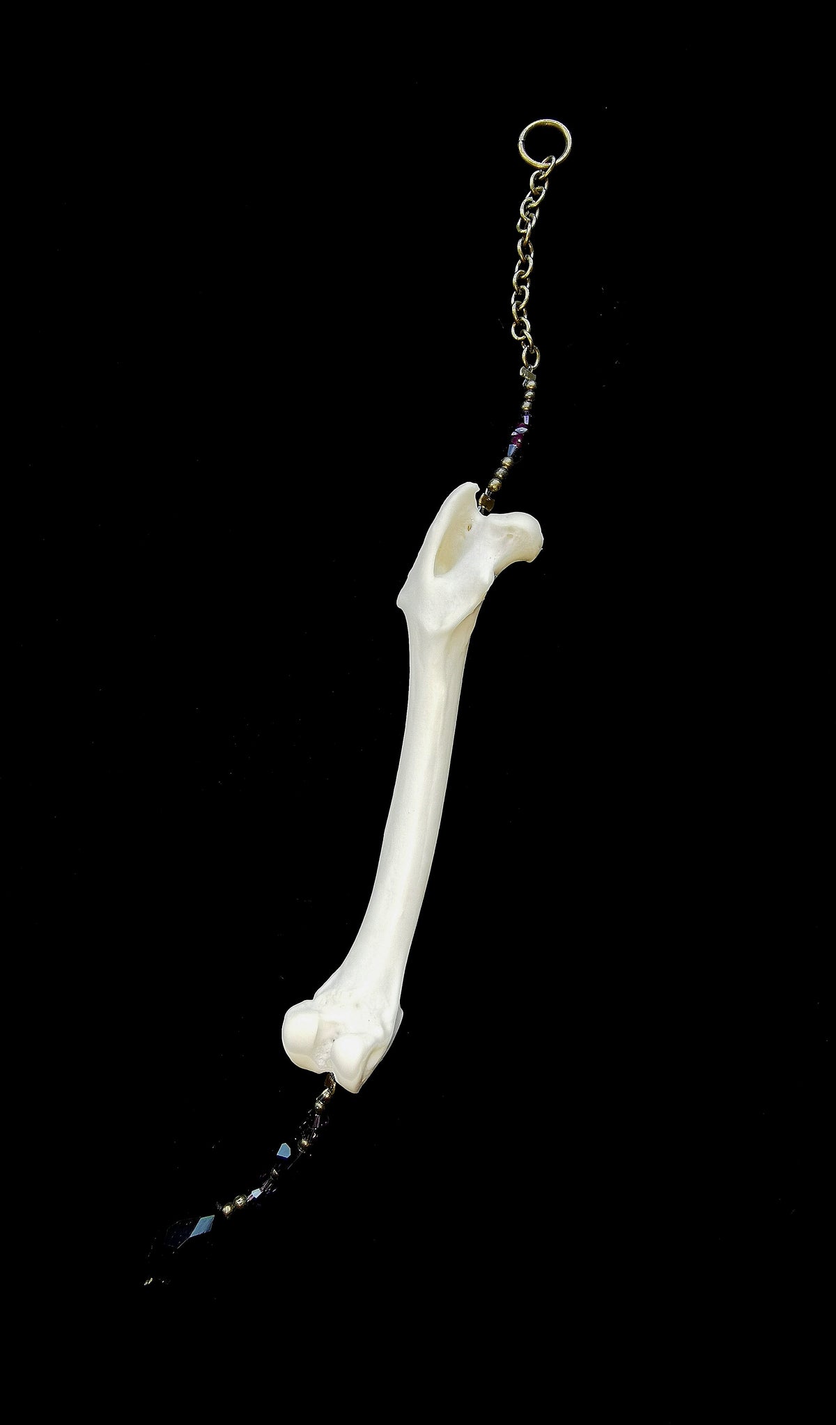 Rabbit femur suncatcher
