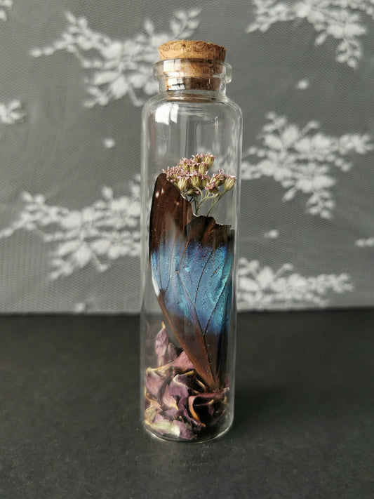 Large curiosity bottle