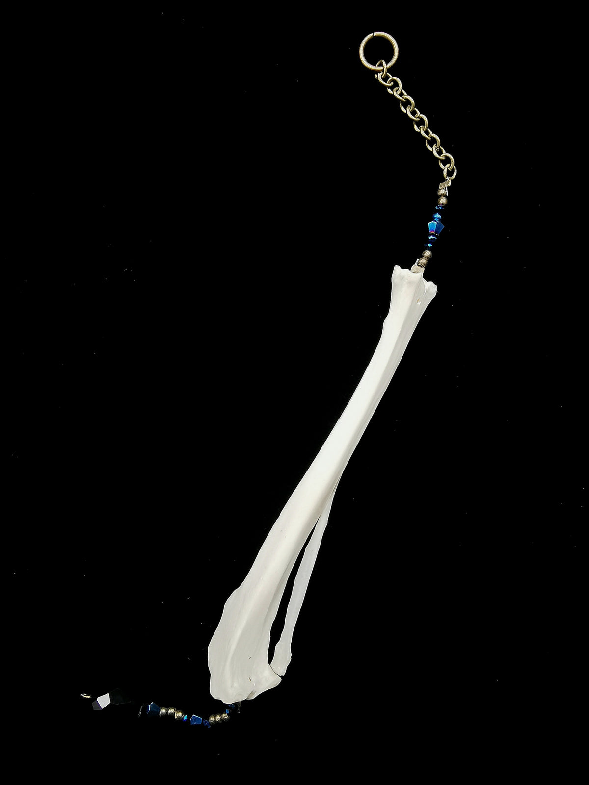 Rabbit tibia suncatcher