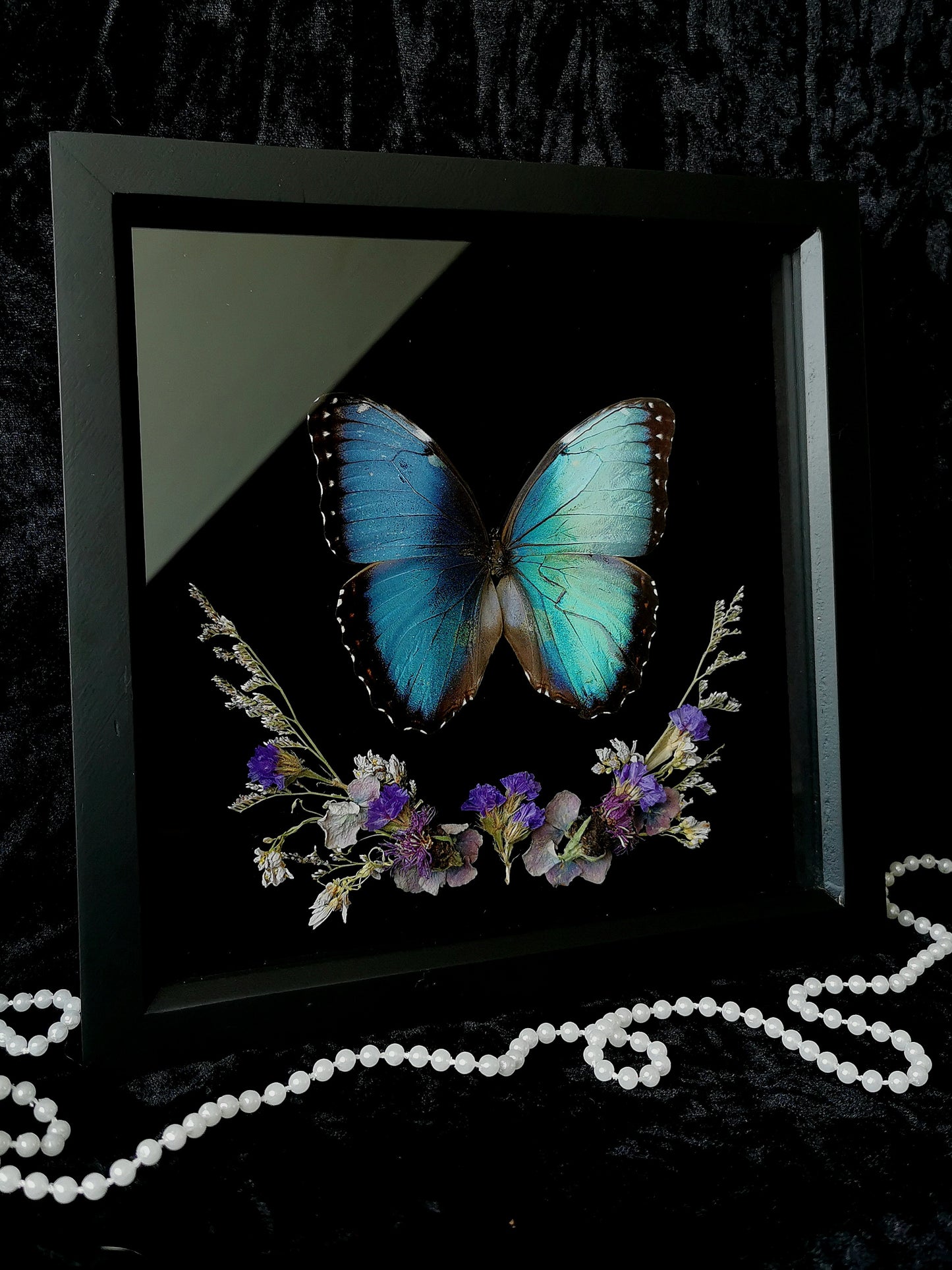 Helenor Blue Morpho butterfly frame with dried flowers