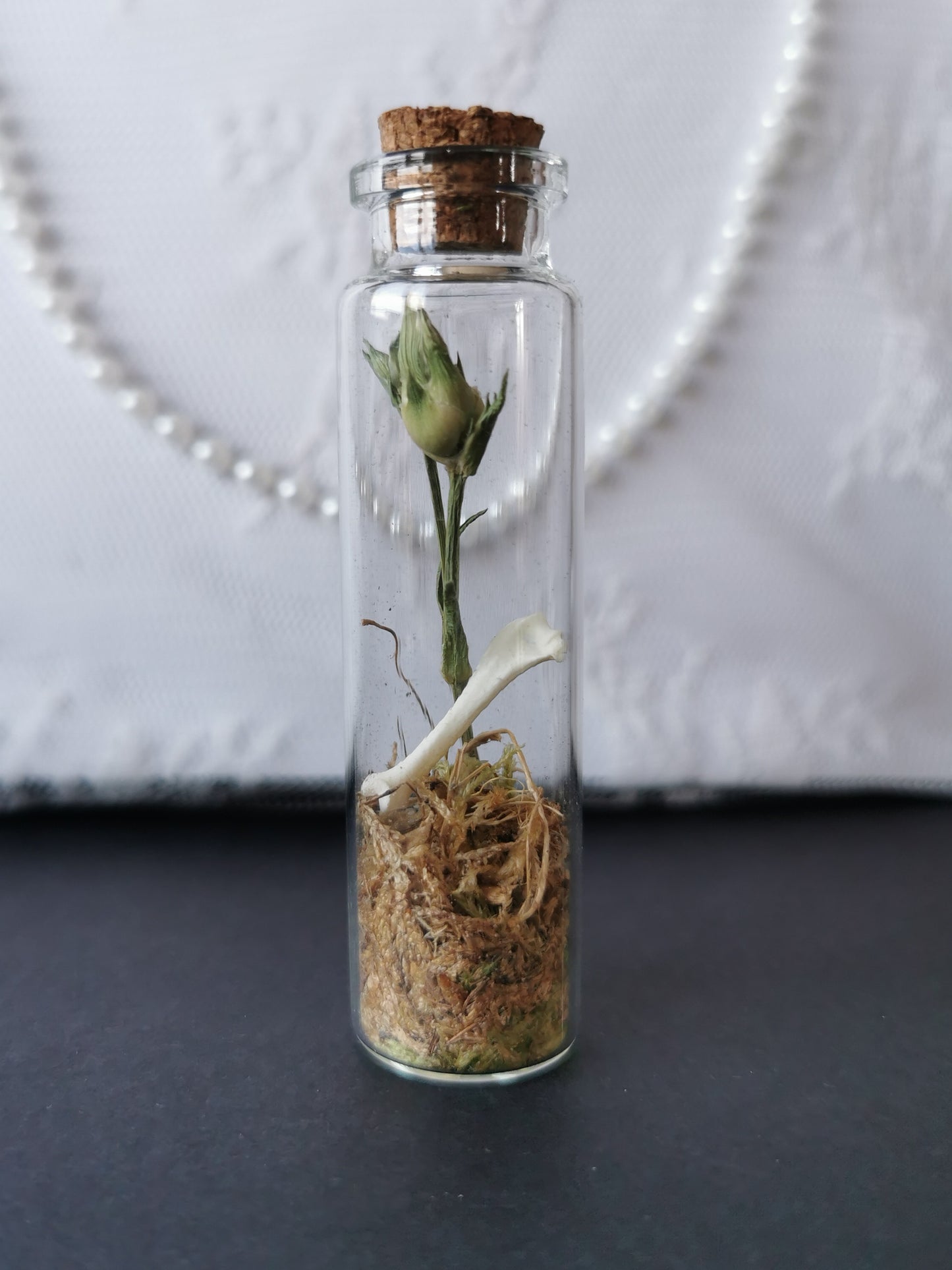 Small curiosity bottle