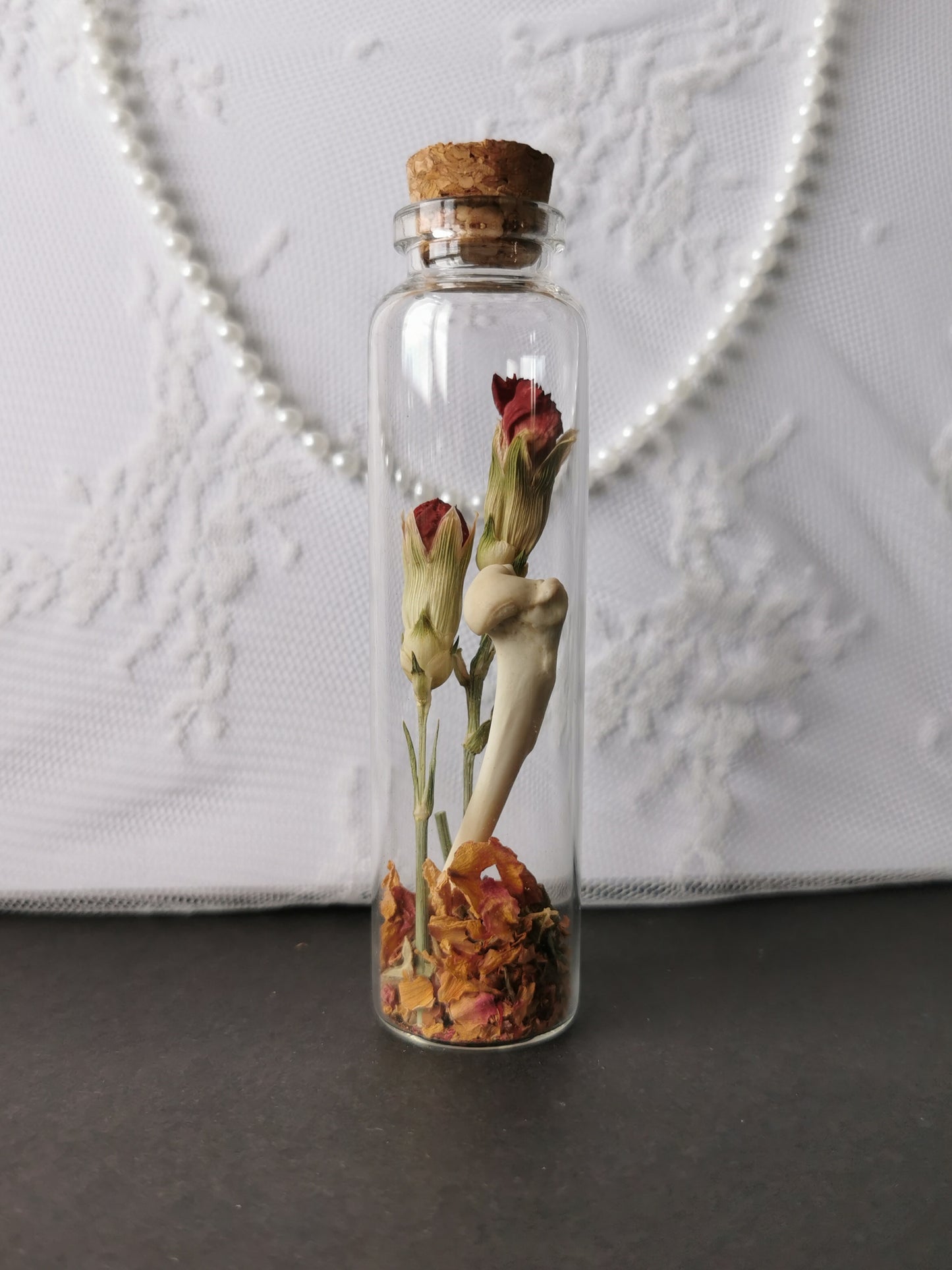 Curiosity bottle set