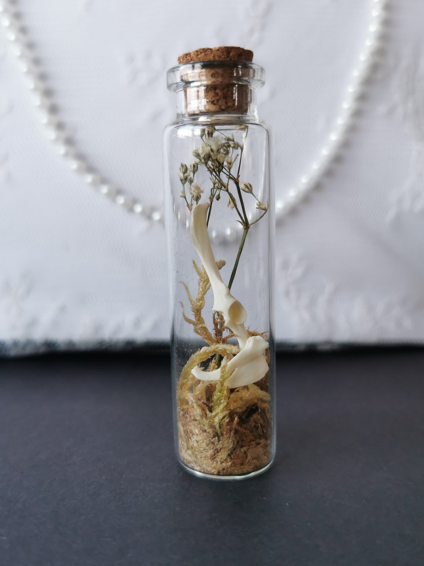 Small curiosity bottle