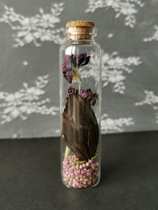 Large curiosity bottle