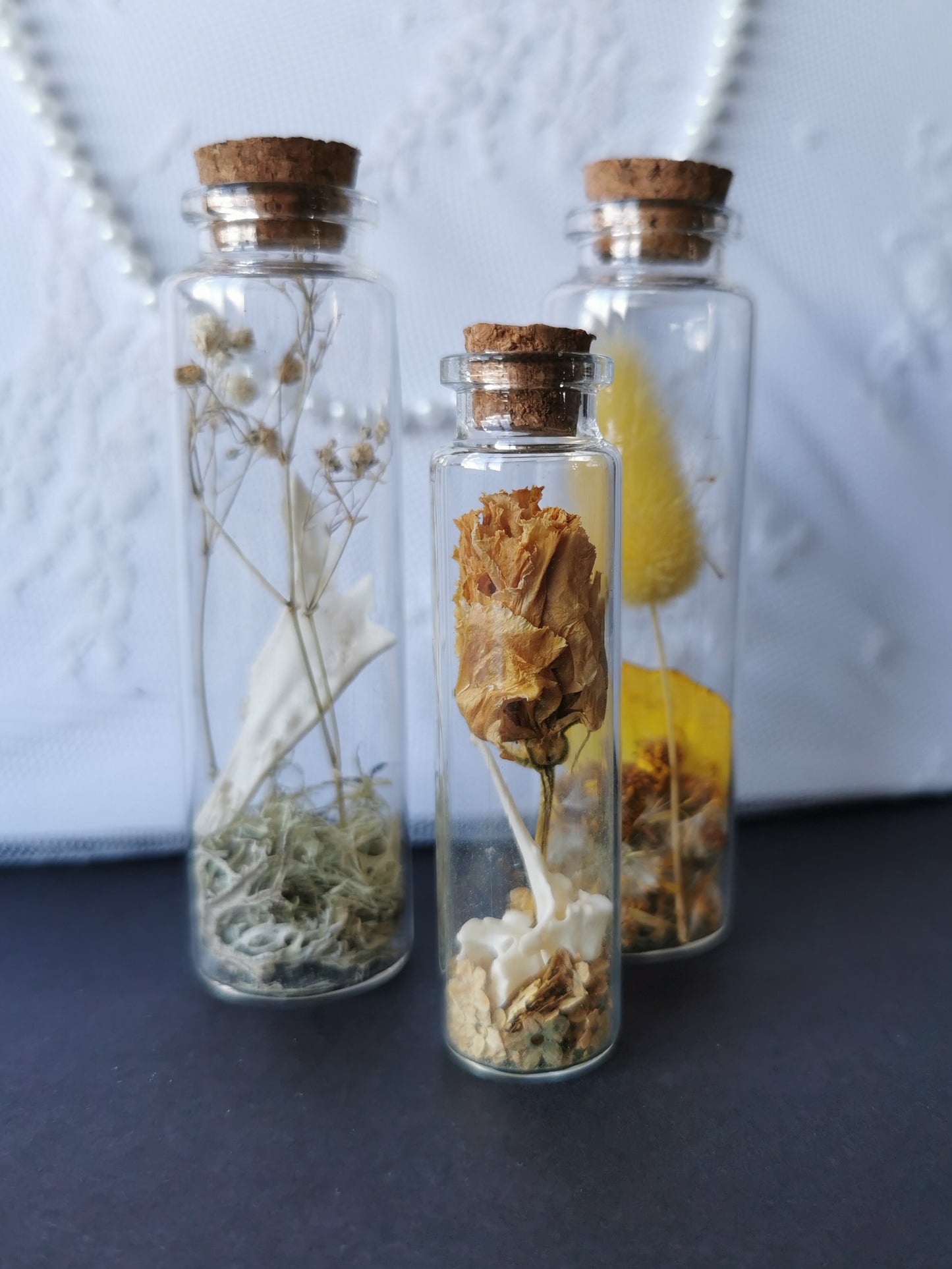 Curiosity bottle set