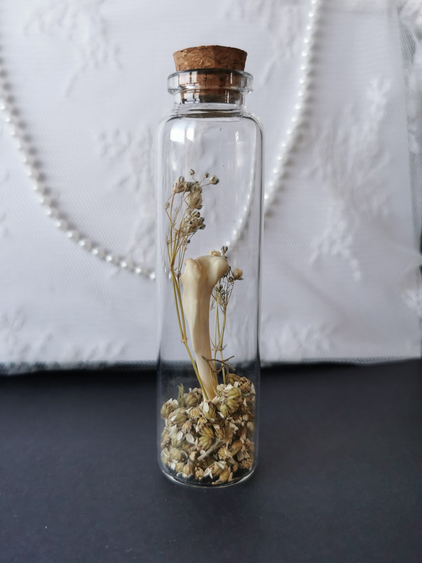 Large curiosity bottle