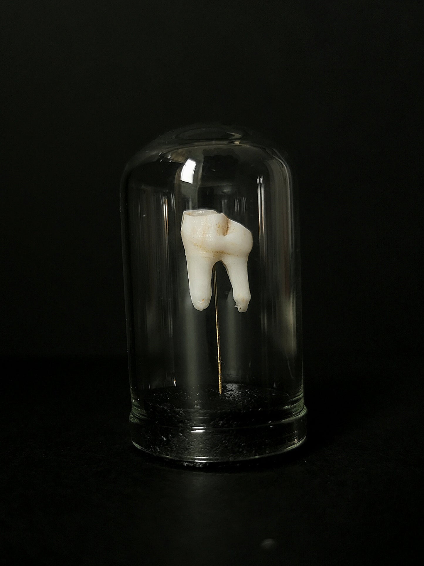 Small tooth dome